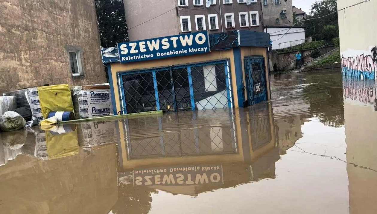 Kłodzko. Zakład szewski przy ul. Grunwaldzkiej otwarty - Zdjęcie główne