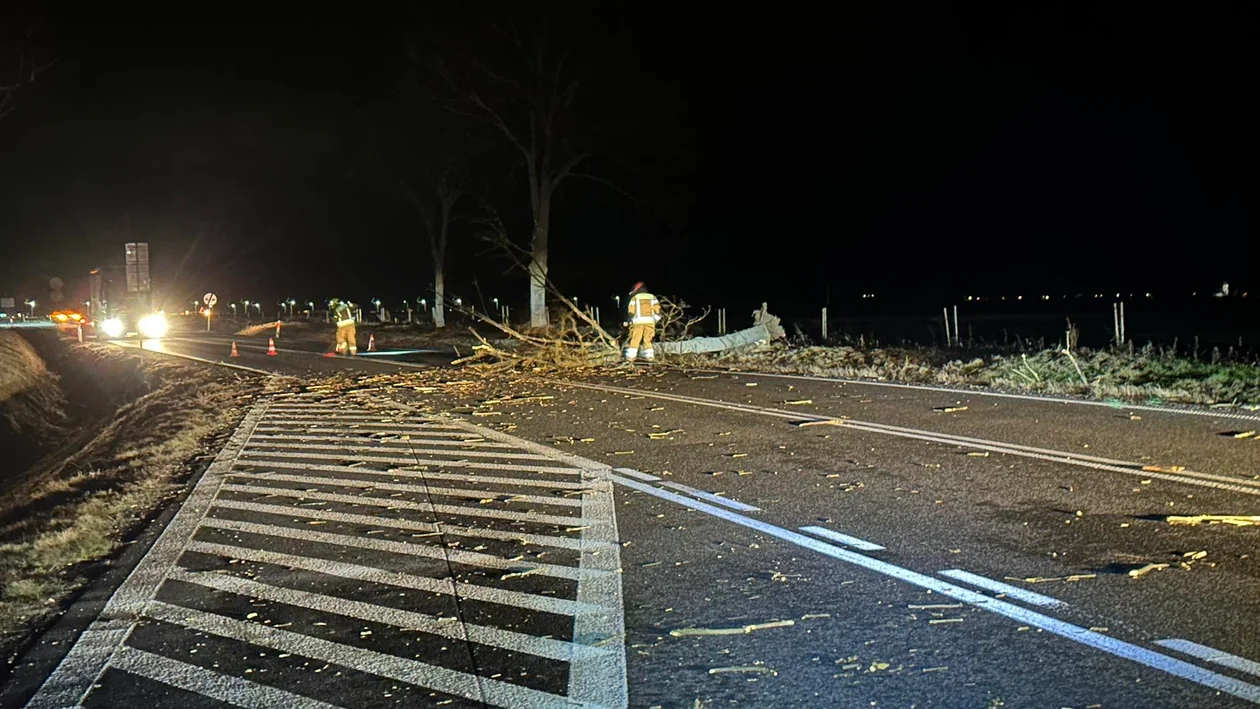 Jaszkowa Dolna. Silny wiatr. Strażacy mieli niespokojną noc [zdjęcia]