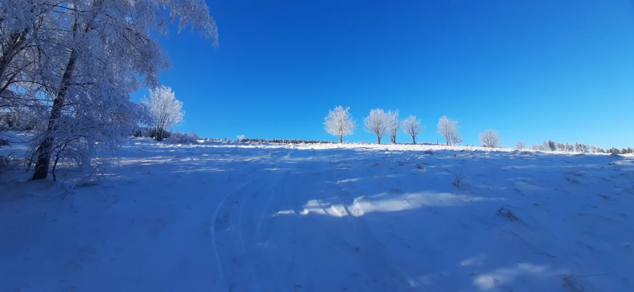 Nowa Ruda. Zima w obiektywie naszych czytelników