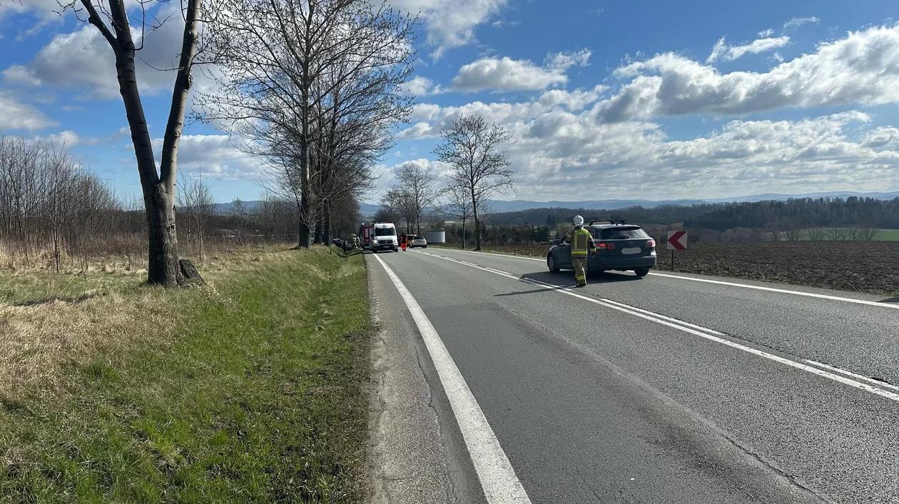 Krajowa ósemka. Kierowca BMW uderzył w przydrożne drzewo [zdjęcia]