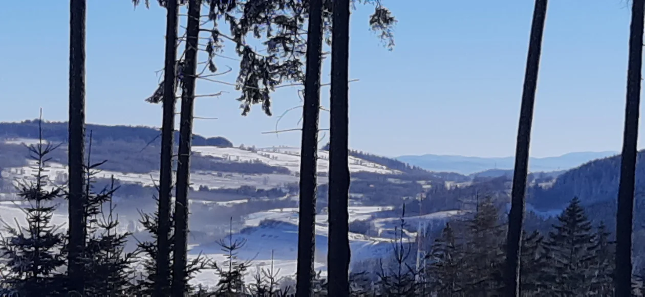 Nowa Ruda. Zima w obiektywie naszych czytelników