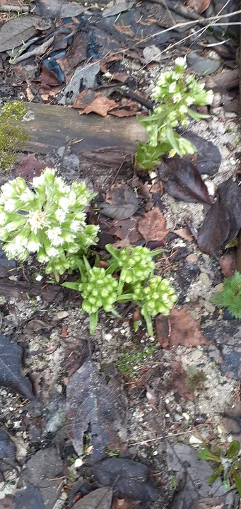 Nowa Ruda i okolice w obiektywie naszych czytelników