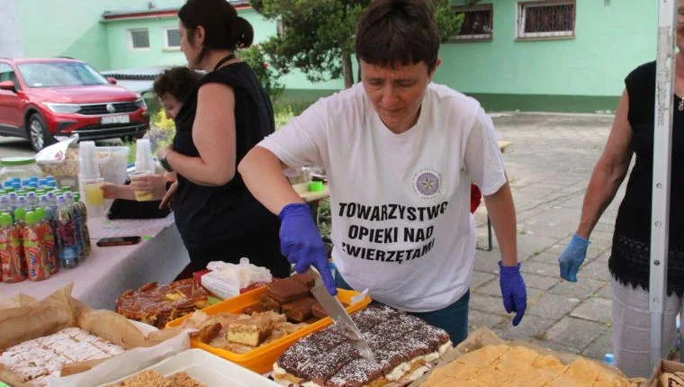 Ząbkowice Śląskie. Rekordowy Festyn dla Zwierzaka [FOTO] - Zdjęcie główne