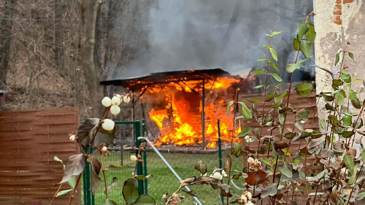 Pożar altanki na ul. Żeromskiego w Kłodzku