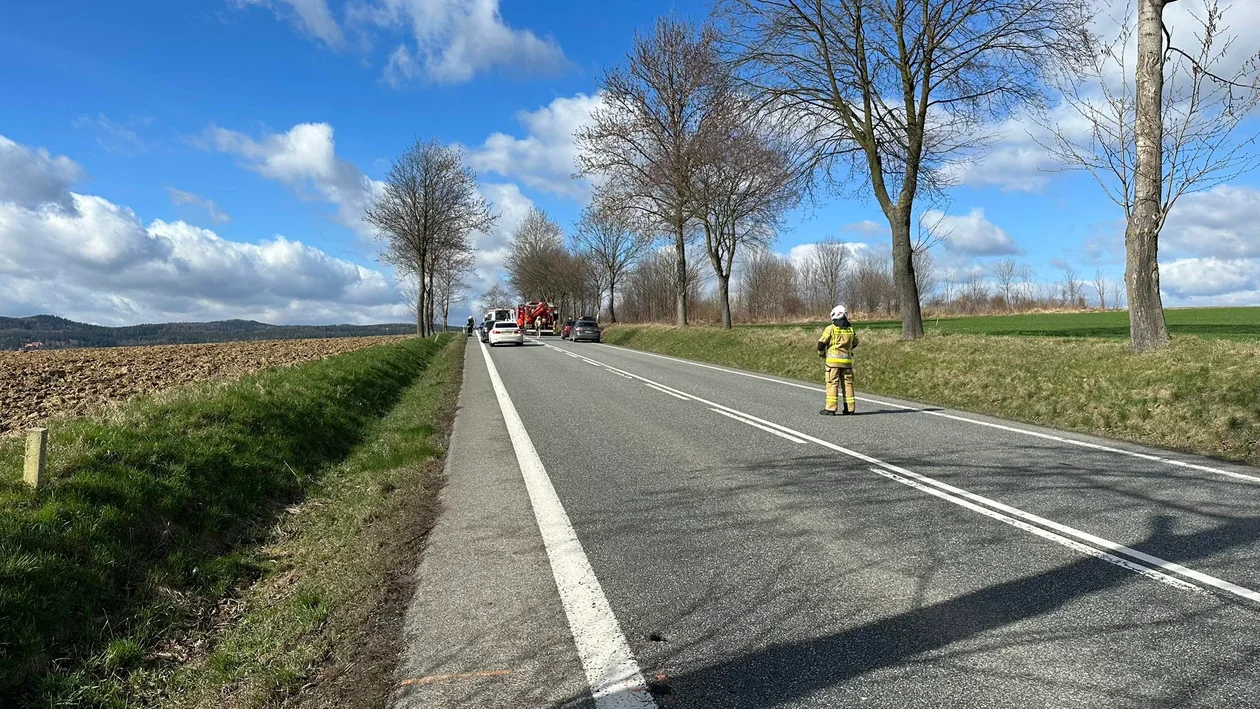 Krajowa ósemka. Kierowca BMW uderzył w przydrożne drzewo [zdjęcia]