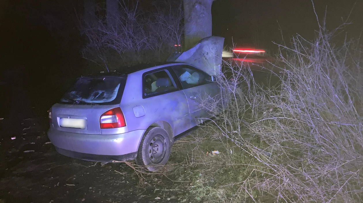 Nowa Ruda. Uderzyła w drzewo. Dwie osoby trafiły do szpitala