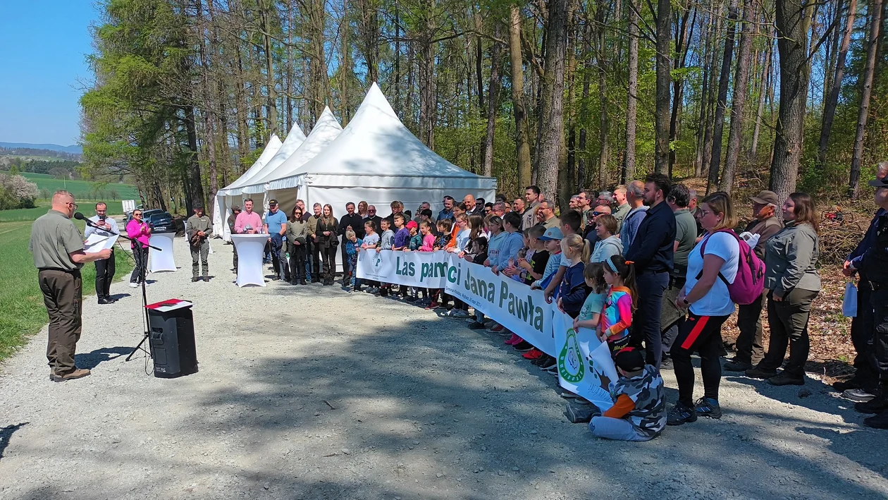 Nadleśnictwo Jugów. Posadzili las im. Jana Pawła II