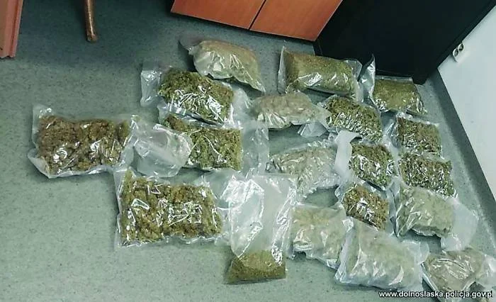 Plantator z Nowej Rudy skazany