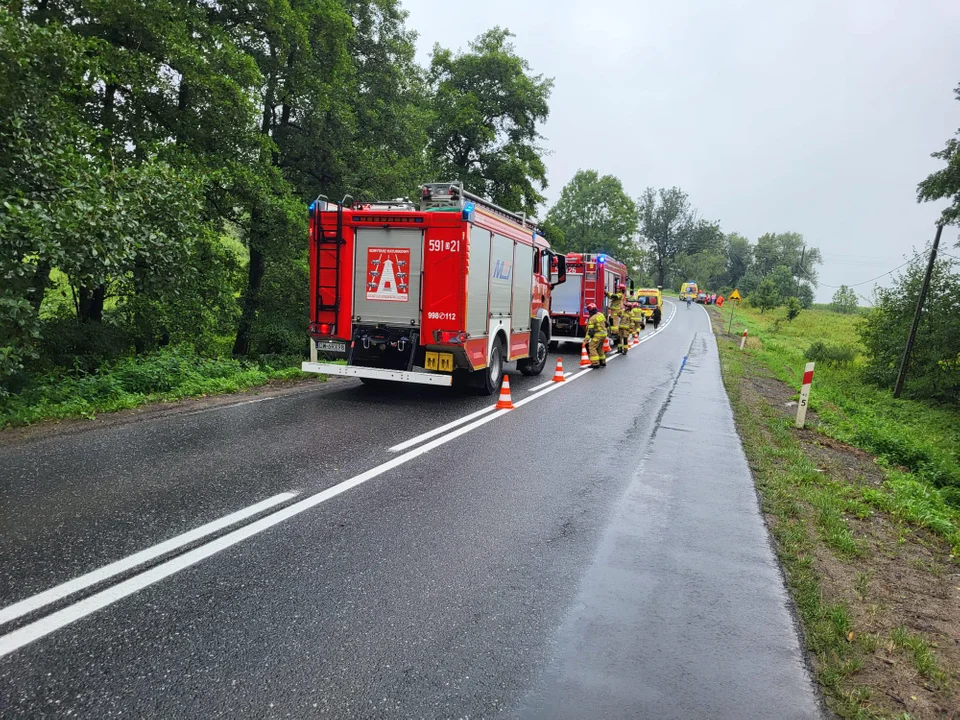 Kluczowa. Kierująca seatem uderzyła w drzewo [zdjęcia]