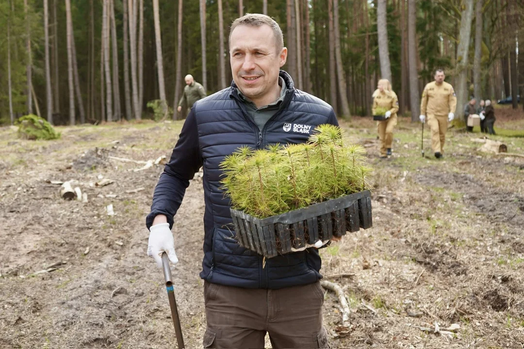 Pszczoły pod ochroną regionu. Milion złotych dla pszczelarzy - Zdjęcie główne