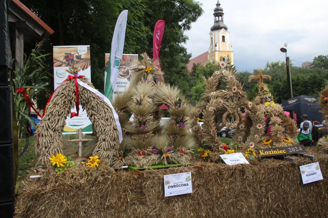 Dożynki w Braszowicach