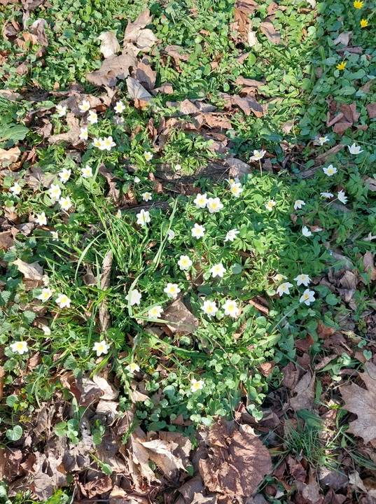 Nowa Ruda i okolice w obiektywie naszych czytelników