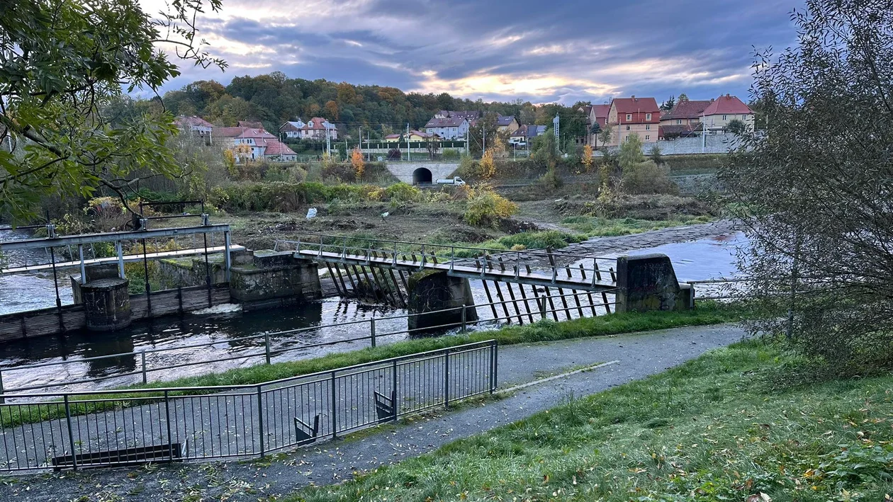 Remont koryta Nysy Kłodzkiej. Trwa wycinka drzew