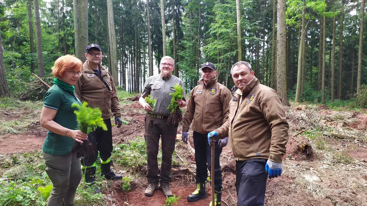 Nowa Ruda. Sadzili las im. Jana Pawła II w Słupcu - galeria