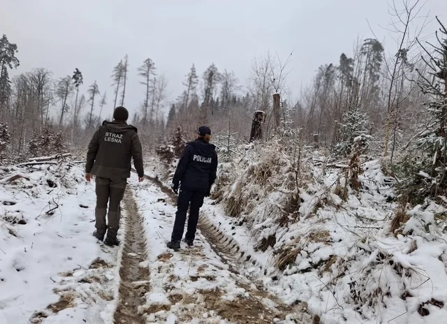 Powiat Kłodzki. Wspólne przedświąteczne patrole policji i straży leśnej - Zdjęcie główne