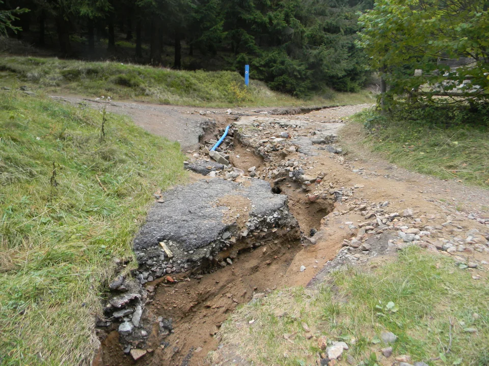 Nadleśnictwo Jugów informuje o utrudnieniach na szlakach powyżej Schroniska Sowa