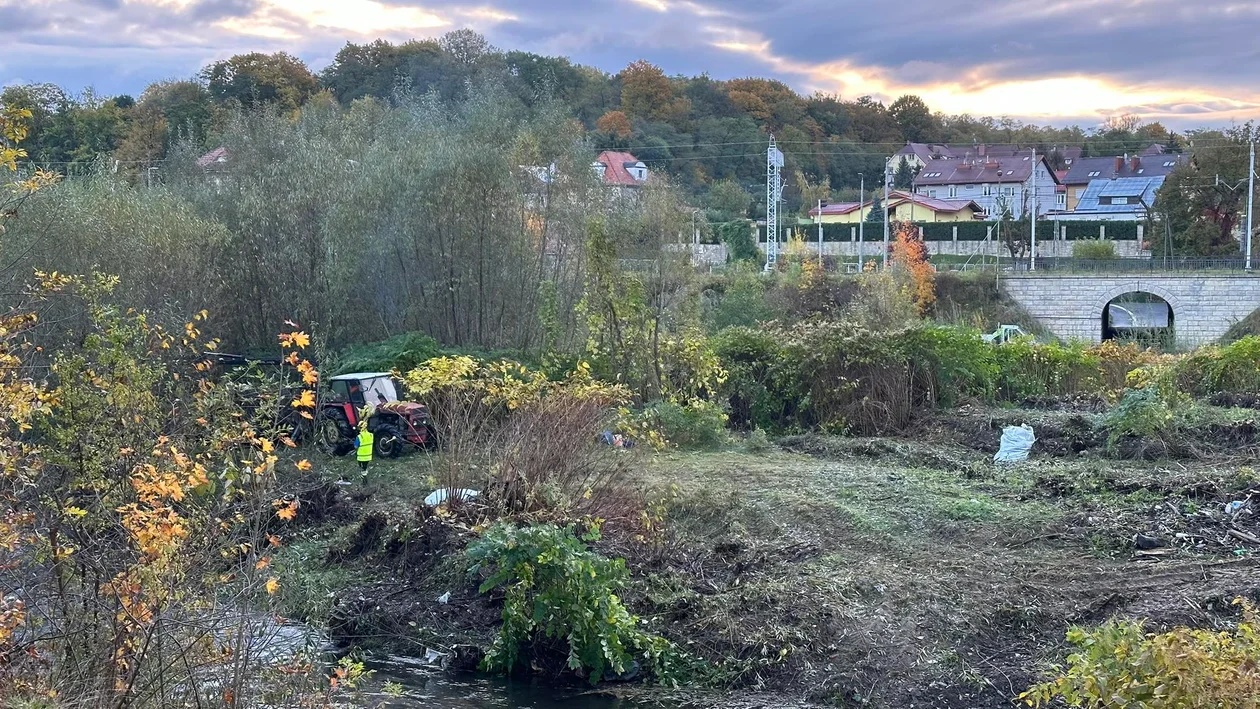 Remont koryta Nysy Kłodzkiej. Trwa wycinka drzew