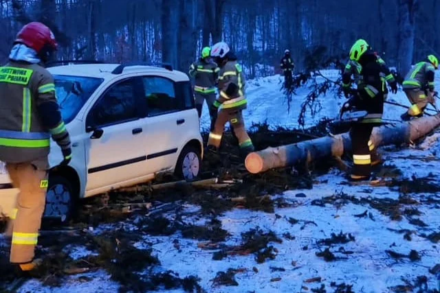 Nowa Ruda. Strażacy usuwają skutki silnie wiejącego wiatru