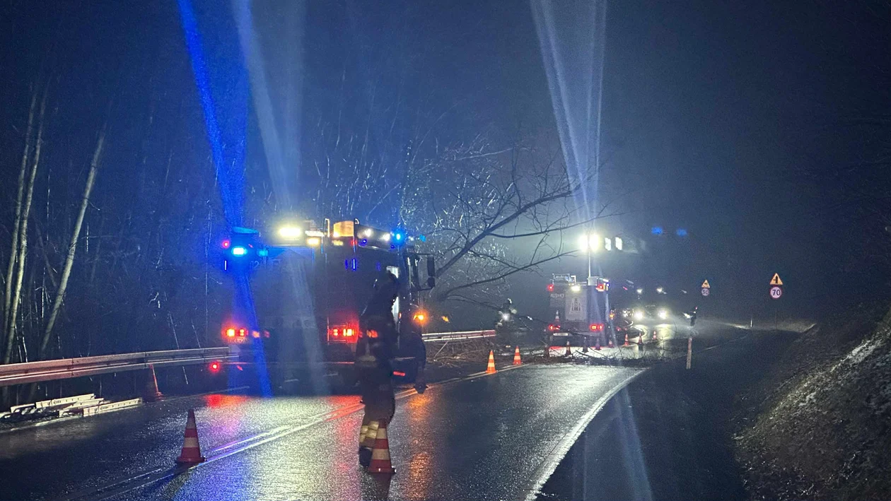 Podzamek - kolejne drzewo na drodze - Zdjęcie główne