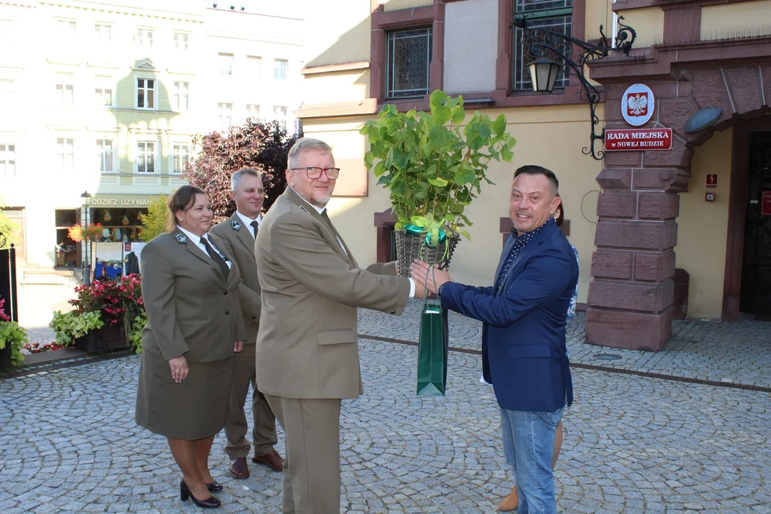 Święto Drzewa w Nowej Rudzie. Zasadzą drzewka, a nie sadzonki