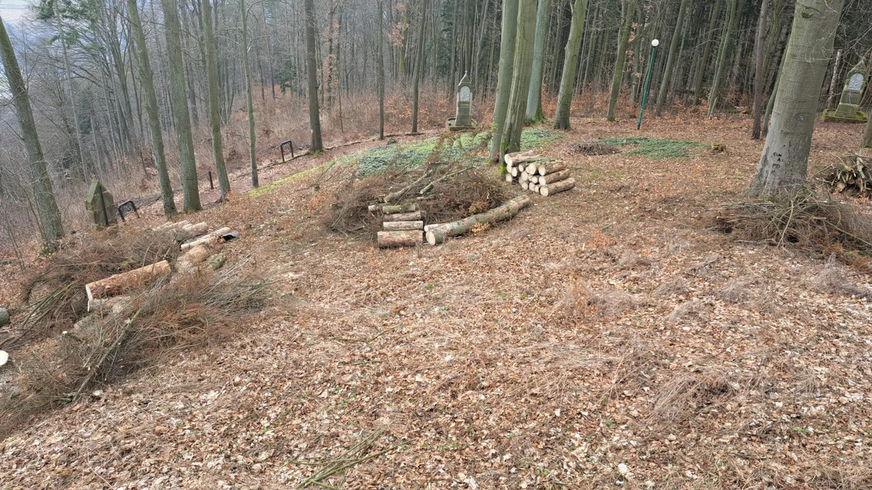 Nowa Ruda. Wycinka drzew w pobliżu sanktuarium MB Bolesnej na Górze Wszystkich Świętych zakończona [zdjęcia]