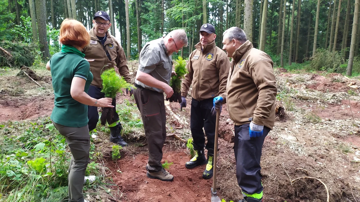 Nowa Ruda. Sadzili las im. Jana Pawła II w Słupcu - galeria