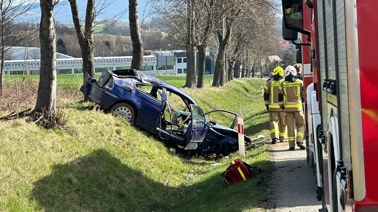 Krajowa ósemka. Kierowca BMW uderzył w przydrożne drzewo [zdjęcia]