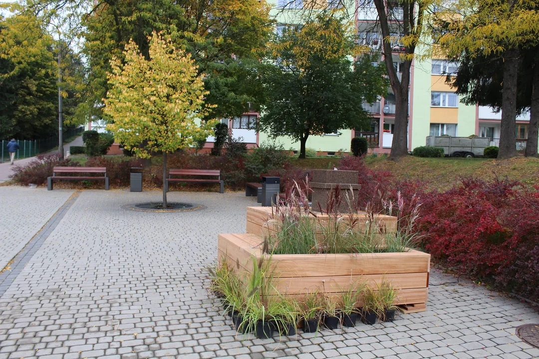 Nowa Ruda. Zazielenili Teatralną. Przed nami m.in. rewitalizacja parku przy ul. Kolejowej