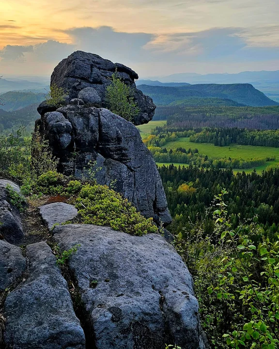 Wiosna w obiektywie naszych czytelników [galeria]