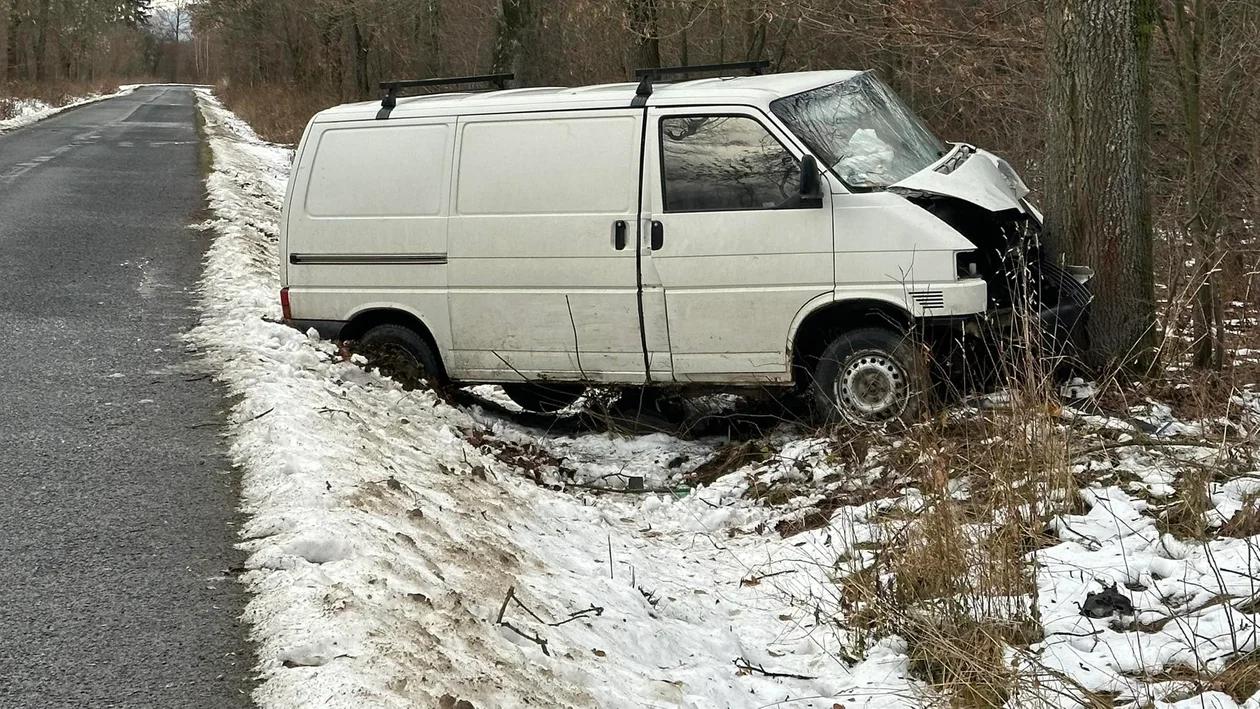 Kierowca busa uderzył w przydrożne drzewo - Zdjęcie główne