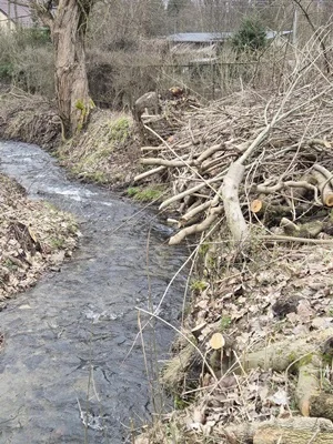 Fundusz Sołecki w gminie Nowa Ruda. Na co mieszkańcy wydali pieniądze w 2024 r.? [galeria]