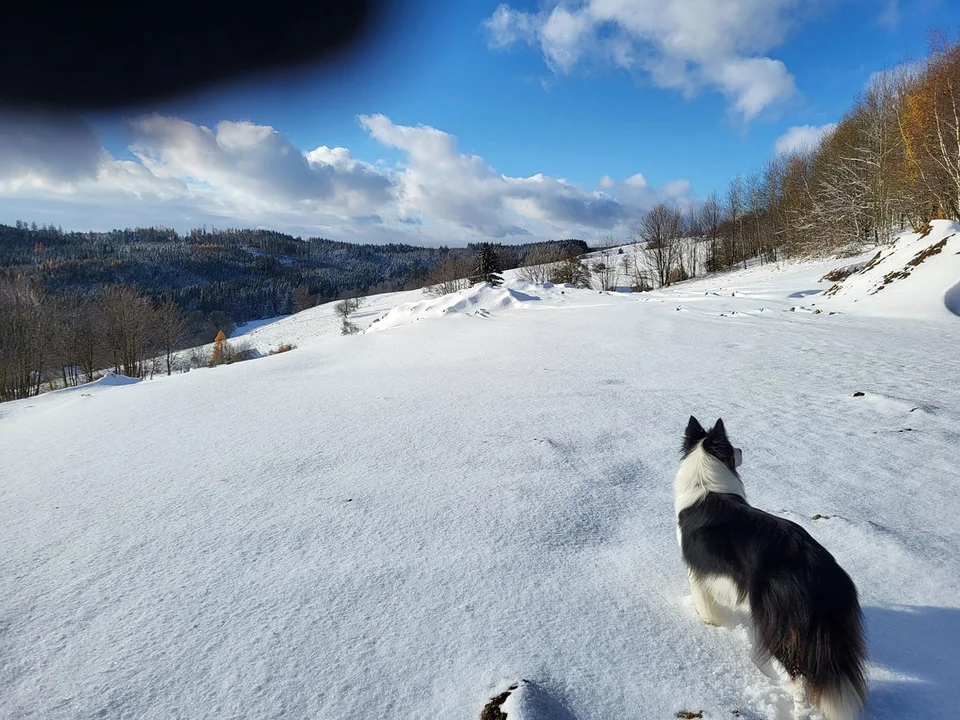 Biało za oknem. Pierwszy śnieg w obiektywie naszych czytelników