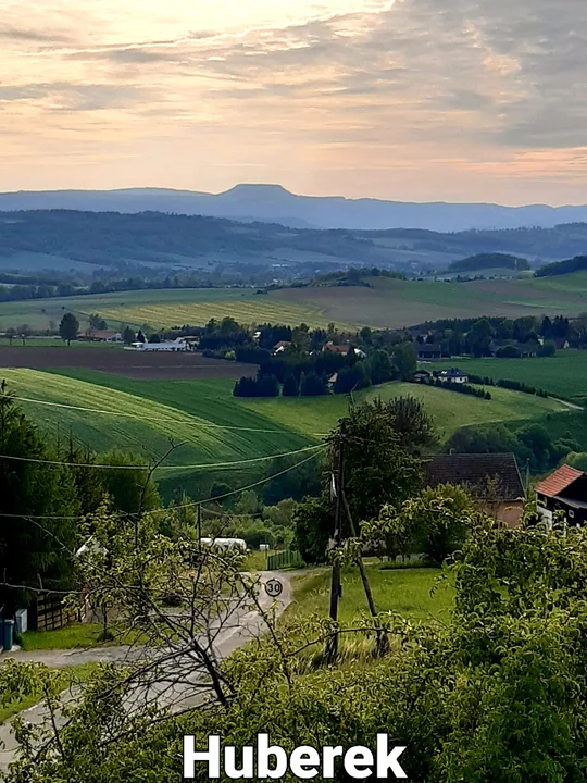 Wiosna w obiektywie naszych czytelników [galeria]