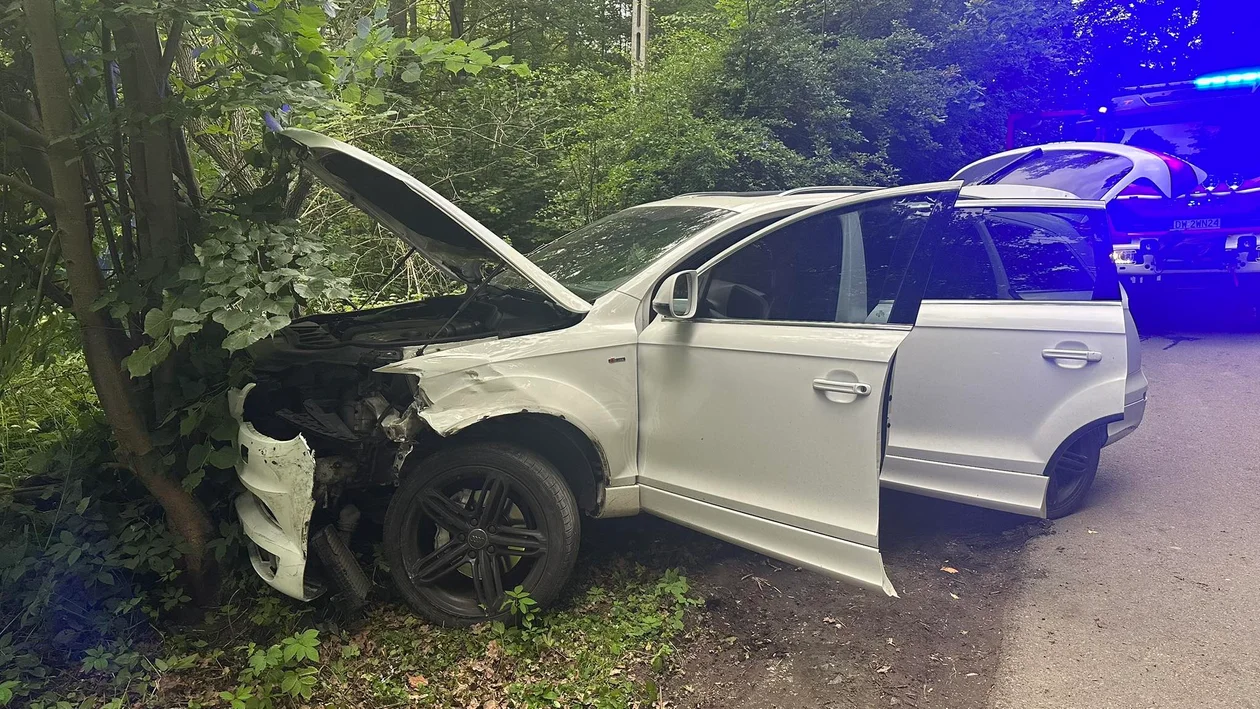 Szalejów Dolny.  Po uderzeniu w skodę audi zatrzymało się na drzewach - Zdjęcie główne