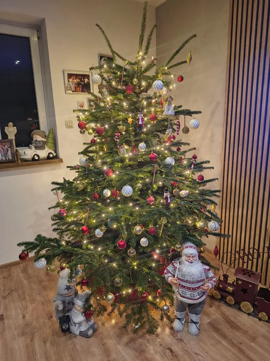 Boże Narodzenie 2025. Choinki naszych czytelników [galeria]