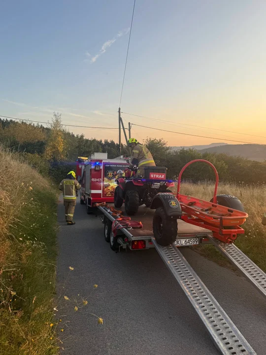 Gmina Nowa Ruda. Wypadek podczas ścinki drzew w Bieganowie. W akcji ponownie strażacy z OSP Słupiec [ zdjęcia]