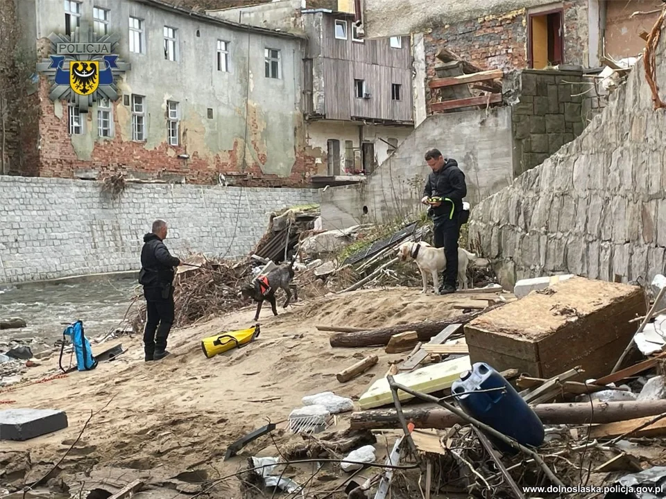 Lądek-Zdrój. Trwają poszukiwania 77-letniej kobiety - Zdjęcie główne