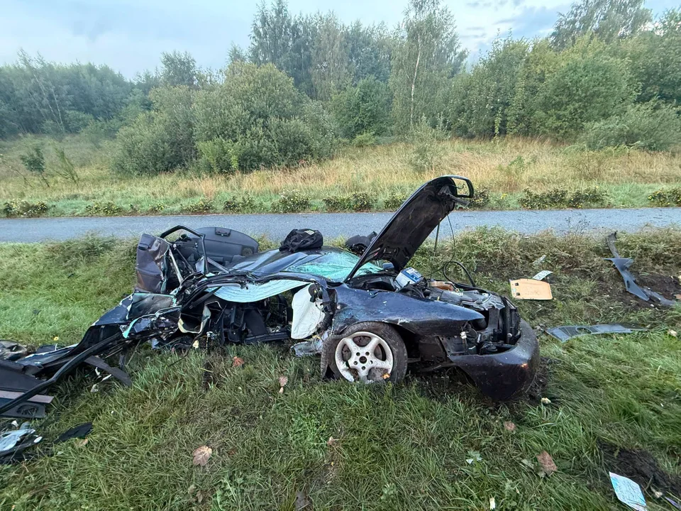 Audi wypadło z drogi i uderzyło w drzewo. Za kierownicą siedział 19-latek - Zdjęcie główne