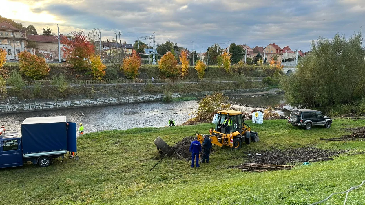 Remont koryta Nysy Kłodzkiej. Trwa wycinka drzew