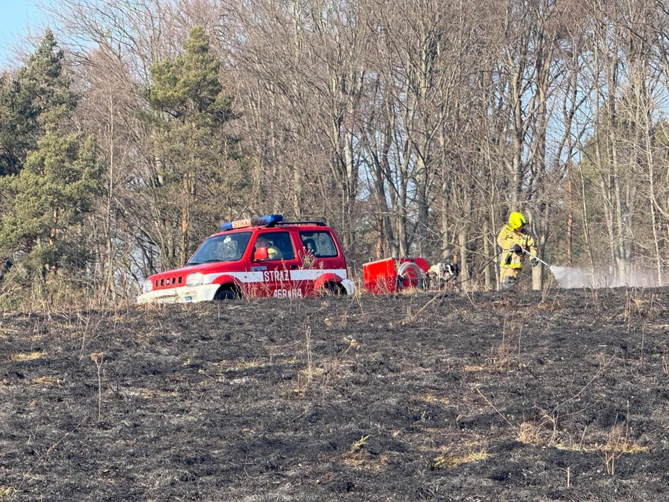 Powiat kłodzki. Początek lutego a już płonie sucha trawa [galeria]