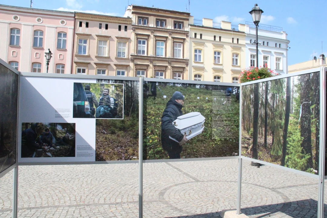 Wystawa Janiny Ochojskiej na ząbkowickim Rynku