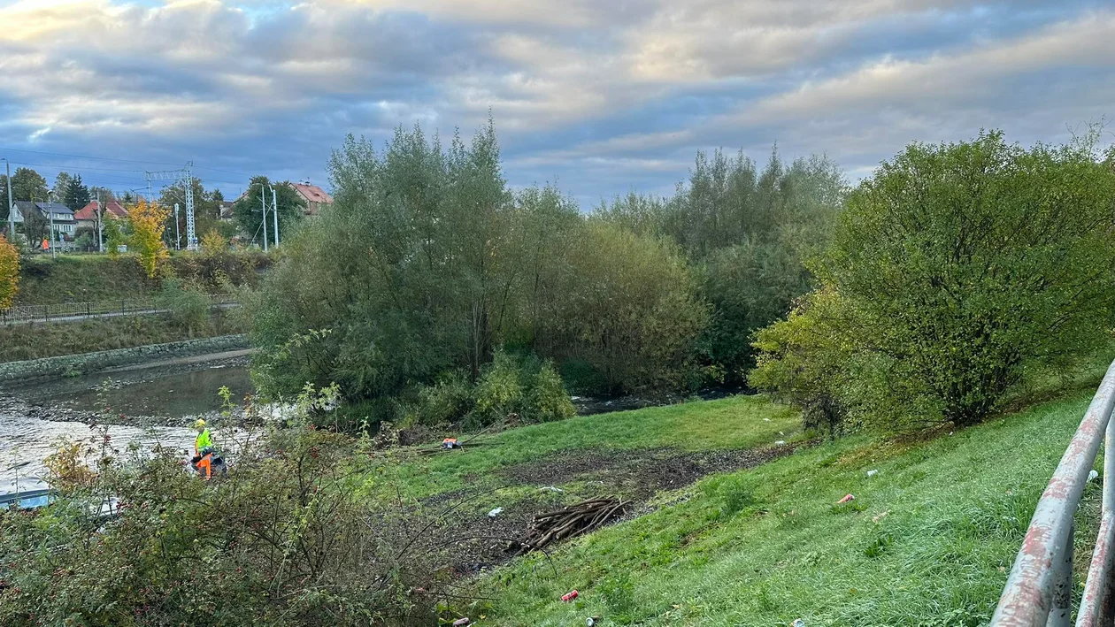 Remont koryta Nysy Kłodzkiej. Trwa wycinka drzew