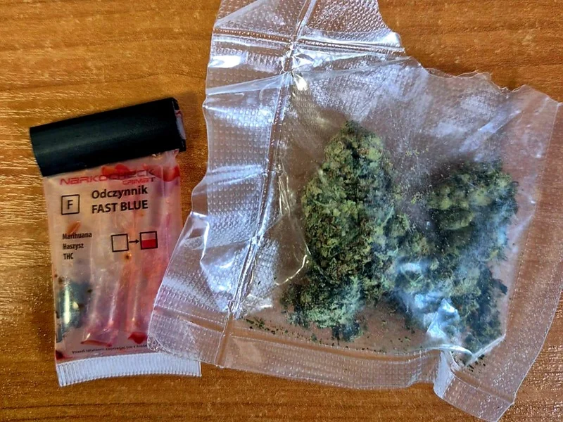 Gmina Kamieniec Ząbkowicki. Czujność i doświadczenie policjantów kluczem do bezpieczeństwa.