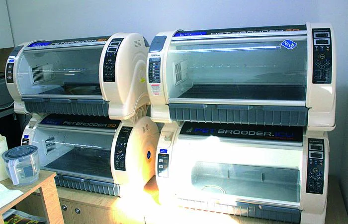 Kłodzko. Cztery gwiazdki dla jeży