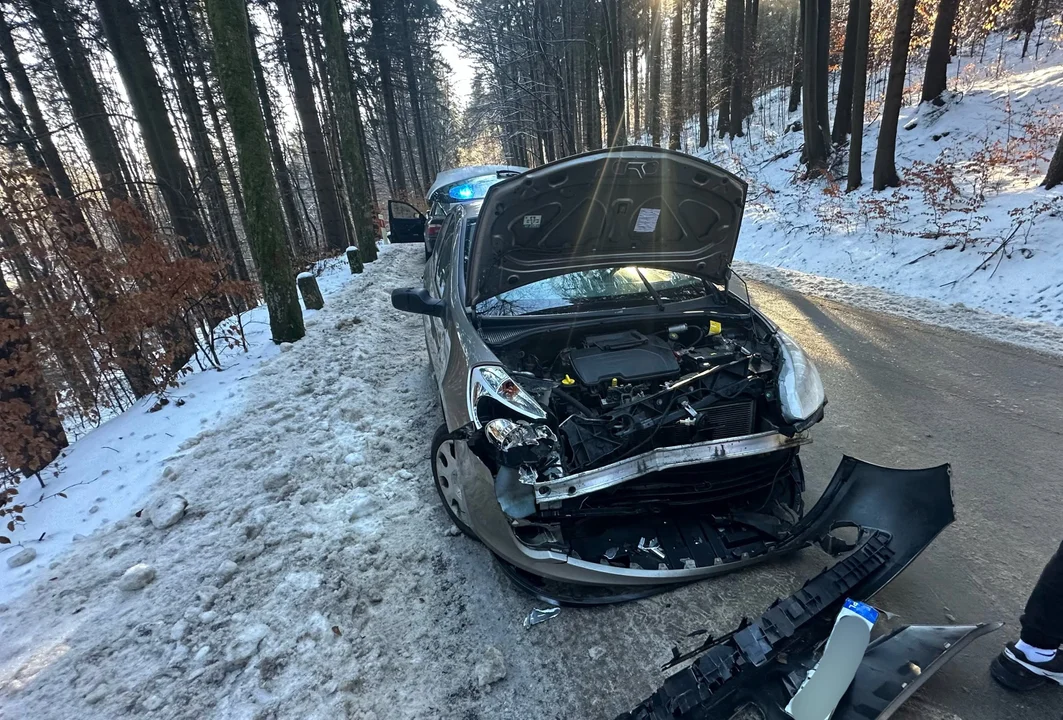 Orłowiec. Kierowca BMW stracił panowanie nad pojazdem [zdjęcia] - Zdjęcie główne