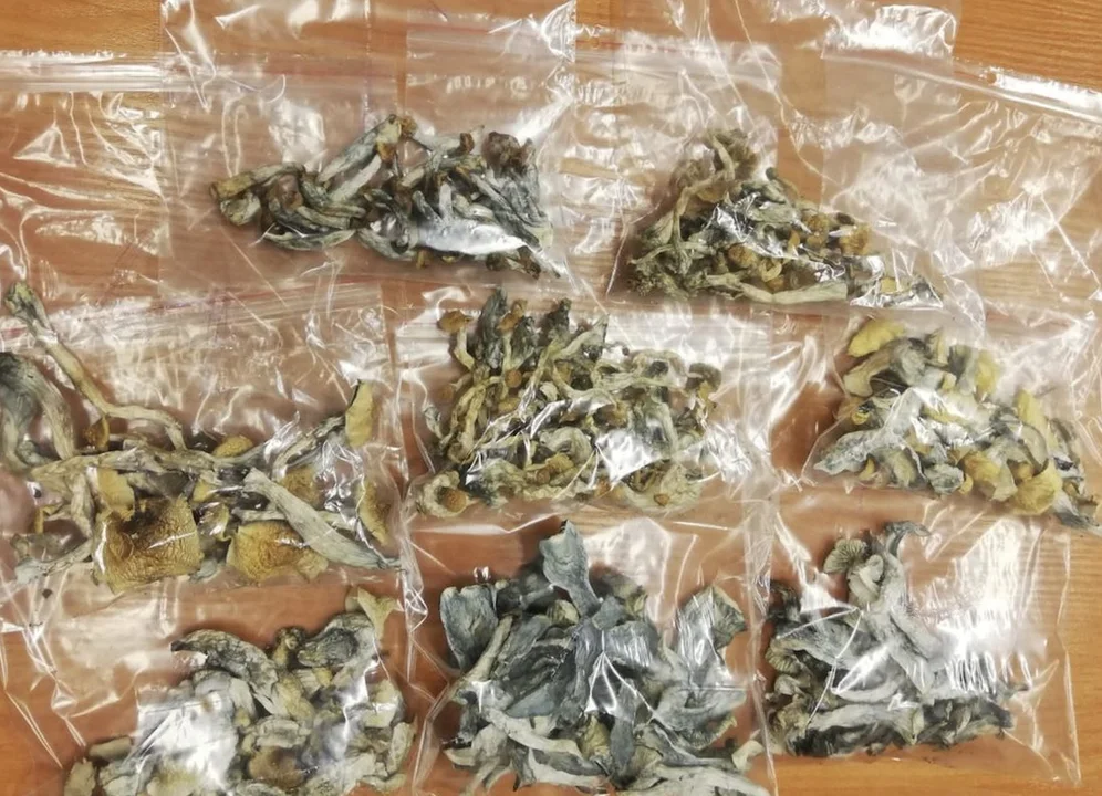 Od kontroli drogowej do przeszukania mieszkania. Co policja znalazła w mieszkaniu 39-latka? - Zdjęcie główne