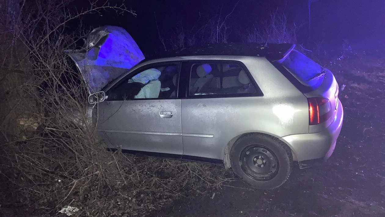 Nowa Ruda. Uderzyła w drzewo. Dwie osoby trafiły do szpitala