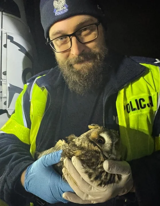 Gmina Kłodzko. Policjanci pomogli rannej sowie [zdjęcia]