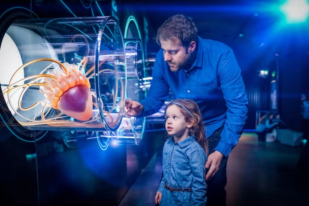 Zanurz się w morskie głębiny w Hydropolis