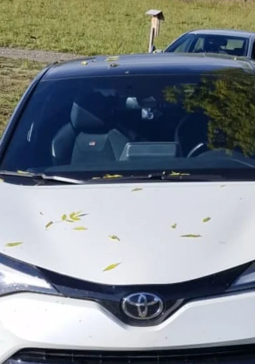 Policjanci z Kłodzka rozbili szajkę złodziei aut! Dwa SUV-y odzyskane po kradzieży w Czechach!